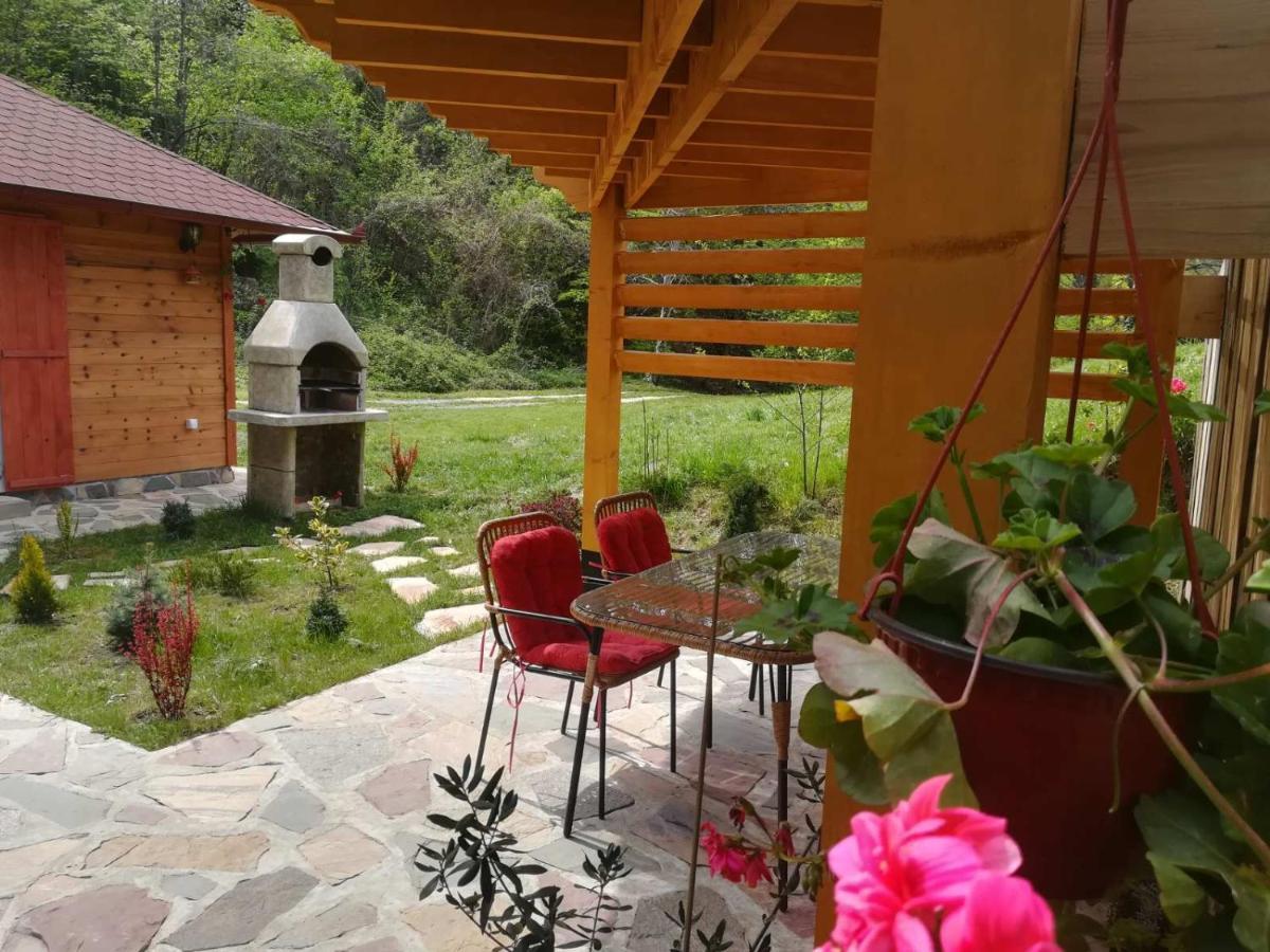 Brvnara Kraj Dunava Zelena Oaza Banostor 외부 사진