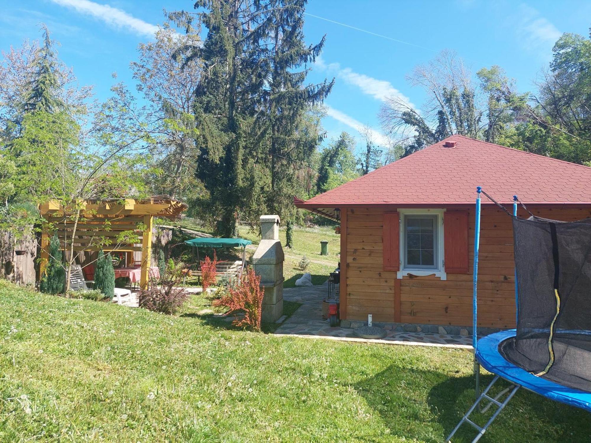 Brvnara Kraj Dunava Zelena Oaza Banostor 외부 사진